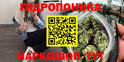 гашиш Аргун
