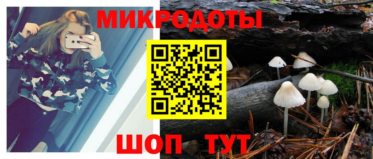 Псилоцибиновые грибы Psilocybine cubensis Бийск