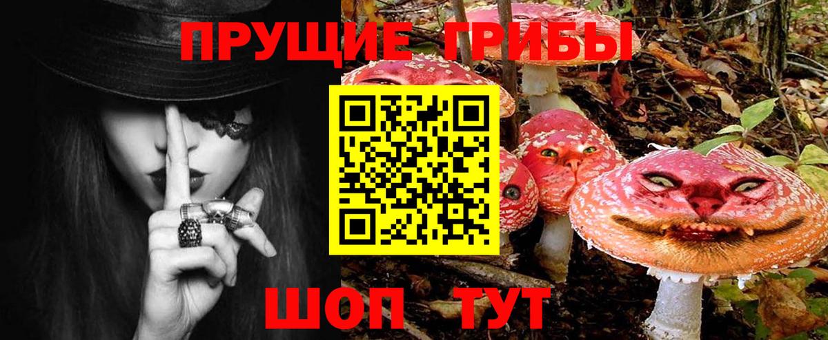 Бийск  Галлюциногенные грибы мухоморы  Вход с VPN 